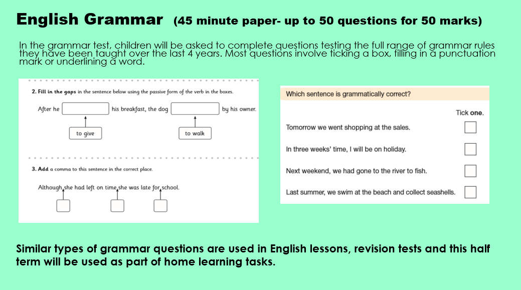 medical term sats