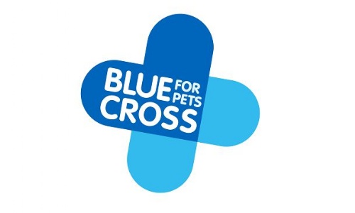 Blue Cross Visit